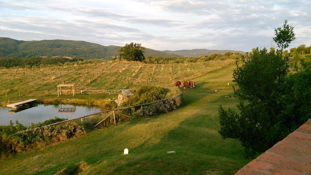 Fattoria San Paolo Agriturismo Montecastelli Pisano Bagian luar foto