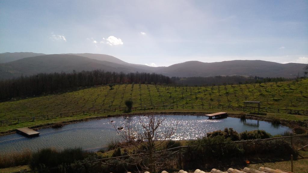 Fattoria San Paolo Agriturismo Montecastelli Pisano Bagian luar foto