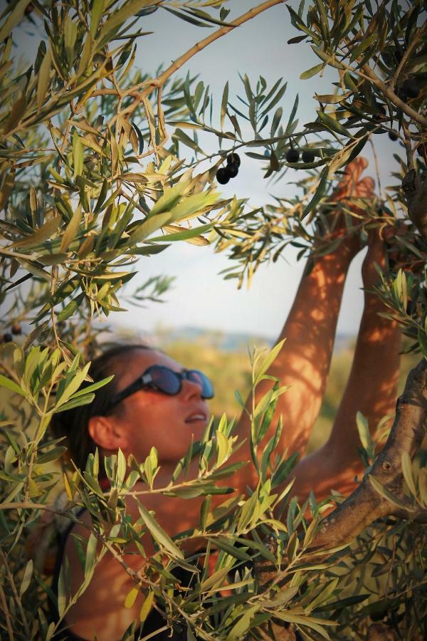 Fattoria San Paolo Agriturismo Montecastelli Pisano Bagian luar foto